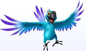 Karamba Bird PNG